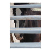 Afdrukken, waardeposter papier (halfglans)