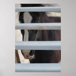 Afdrukken, waardeposter papier (halfglans) poster