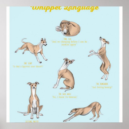 Afdrukken Whippet Language | Whippet Canvas Poster (Voorkant)