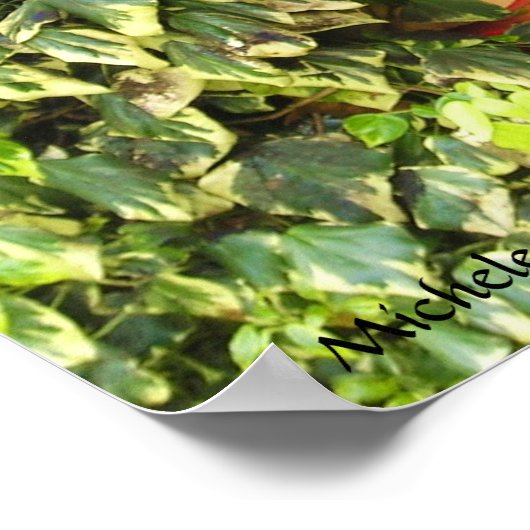 Afdrukken Windows Adare Poster (Hoek)