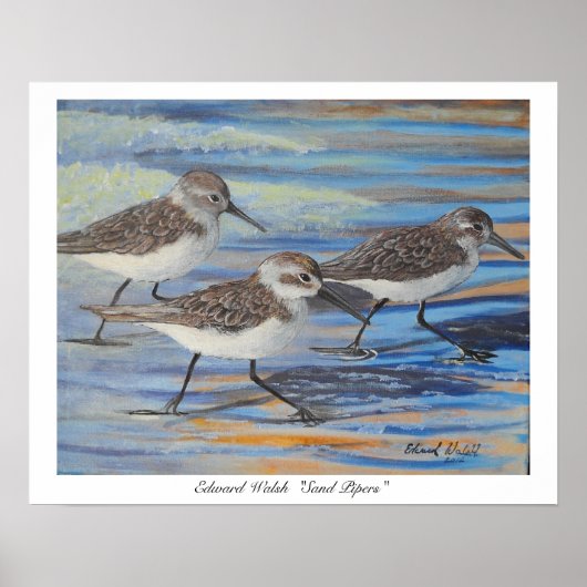 Afdrukken Zand Piper poster (Voorkant)
