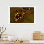 AFDRUKKING "GOLDEN LILLIES" POSTER (Keuken)