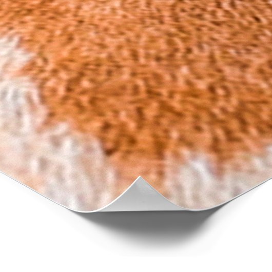 Afdrukstructuur Giraffe Poster (Hoek)