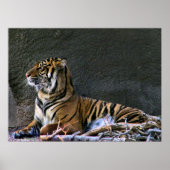 Afdrukvulling Poster (Voorkant)