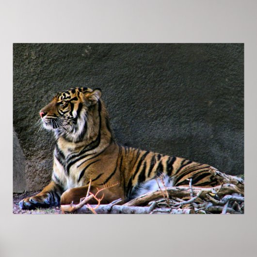 Afdrukvulling Poster (Voorkant)