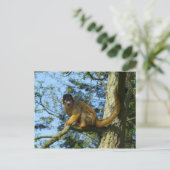 Affe Totenkopfäffchen sitz auf einem Baum Briefkaart (Staand voorkant)