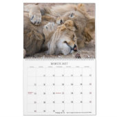 Affectionair wild kalender (Mar 2027)