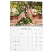 Affectionair wild kalender (Feb 2027)