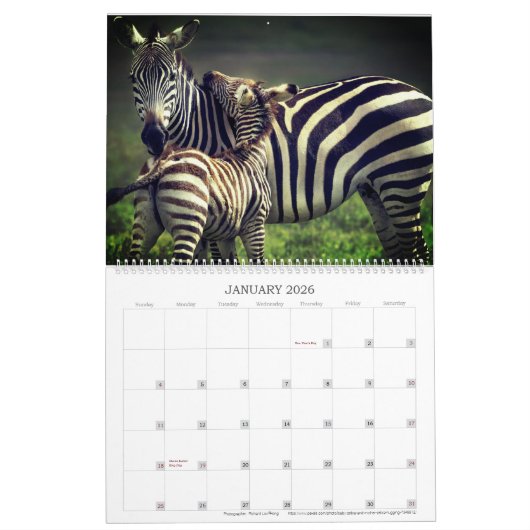 Affectionair wild kalender (Jan 2026)