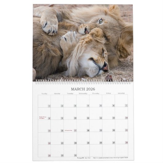 Affectionair wild kalender (Mar 2026)