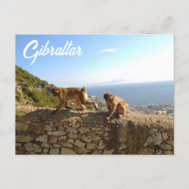 Affen auf dem Fels in Gibraltar Briefkaart