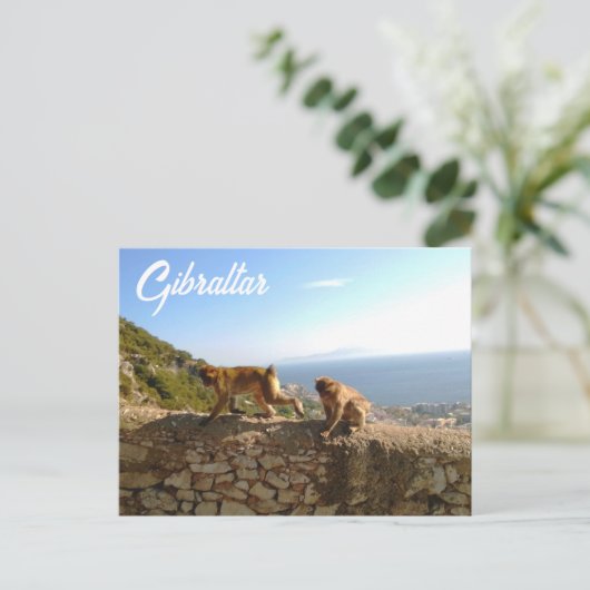 Affen auf dem Fels in Gibraltar Briefkaart (Staand voorkant)