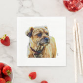 Affen Border Terrier Servet (Insitu)