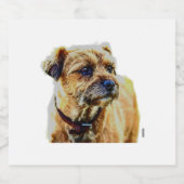 Affen Border Terrier Sparkling Wijnetiket (Enkel label)