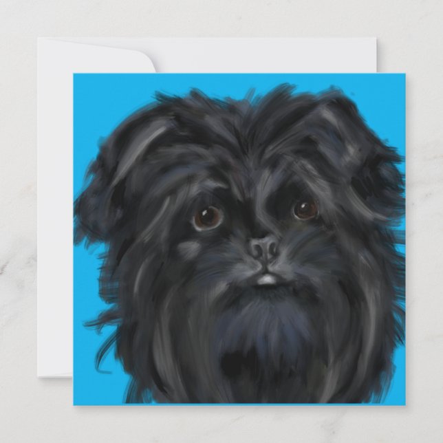 Affenpinscher (Voorkant)