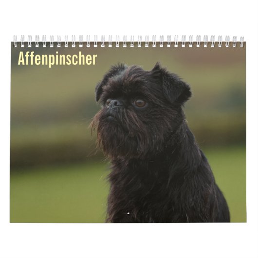 Affenpinscher 2027 Kalender (Hoes)