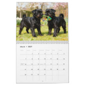 Affenpinscher 2027 Kalender (Mar 2027)