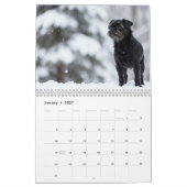 Affenpinscher 2027 Kalender (Jan 2027)