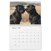Affenpinscher 2027 Kalender (Feb 2027)