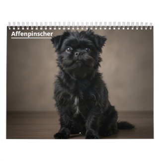Affenpinscher 2027 wandkalender kalender