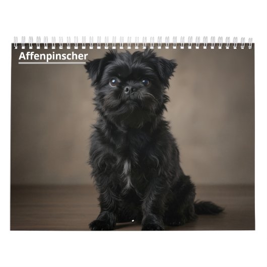 Affenpinscher 2027 wandkalender kalender (Hoes)