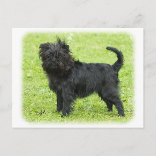 Affenpinscher 9R095D-090 Briefkaart (Voorkant)