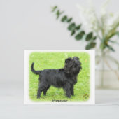 Affenpinscher 9R095D-093 Briefkaart (Staand voorkant)