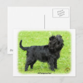 Affenpinscher 9R095D-093 Briefkaart (Voorkant / Achterkant)