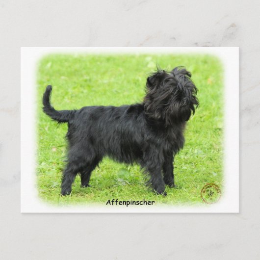 Affenpinscher 9R095D-093 Briefkaart (Voorkant)