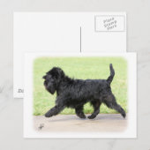 Affenpinscher 9Y516D-063 Briefkaart (Voorkant / Achterkant)