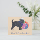 Affenpinscher aan de strand briefkaart (Staand voorkant)