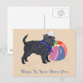 Affenpinscher aan de strand briefkaart (Voorkant / Achterkant)