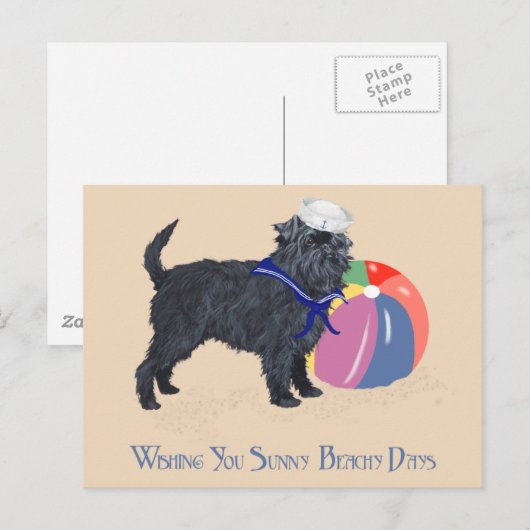 Affenpinscher aan de strand briefkaart (Voorkant / Achterkant)