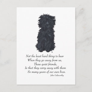 Affenpinscher Aandenken Briefkaart