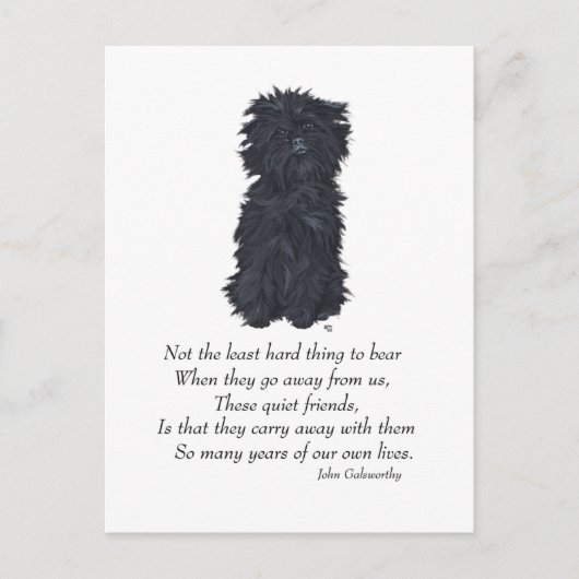 Affenpinscher Aandenken Briefkaart (Voorkant)
