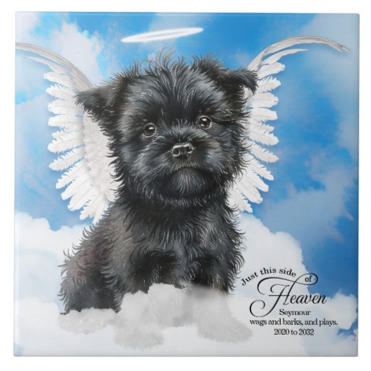 Affenpinscher Angel Dog Gepersonaliseerd Gedenktek Tegeltje (Voorkant)