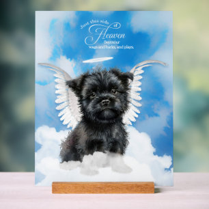 Affenpinscher Angel Dog met naam Pet Memorial Acryl Bord