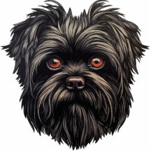 Affenpinscher Apenhond Affens Terriër Magneet