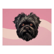 Affenpinscher Apenhond Affens Terrier