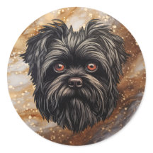 Affenpinscher Apenhond Affens Terrier