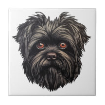 Affenpinscher Apenhond Affens Terrier
