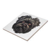 Affenpinscher Apenhond Affens Terrier Tegeltje (Zijkant)