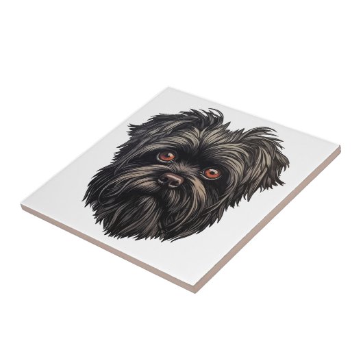 Affenpinscher Apenhond Affens Terrier Tegeltje (Zijkant)