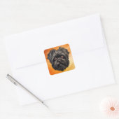 Affenpinscher Apenhond Affens Terrier Vierkante Sticker (Envelop)