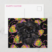 Affenpinscher Briefkaart (Voorkant / Achterkant)