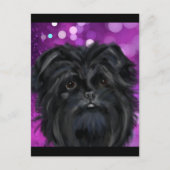 Affenpinscher   briefkaart (Voorkant)
