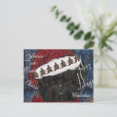 Affenpinscher Briefkaart (Staand voorkant)