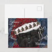 Affenpinscher Briefkaart (Voorkant / Achterkant)