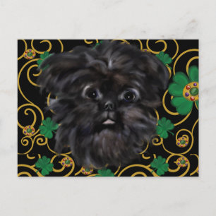 Affenpinscher Briefkaart