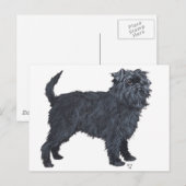 Affenpinscher Briefkaart (Voorkant / Achterkant)